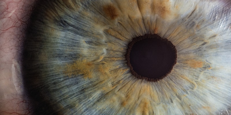 古代知と現代科学の統合